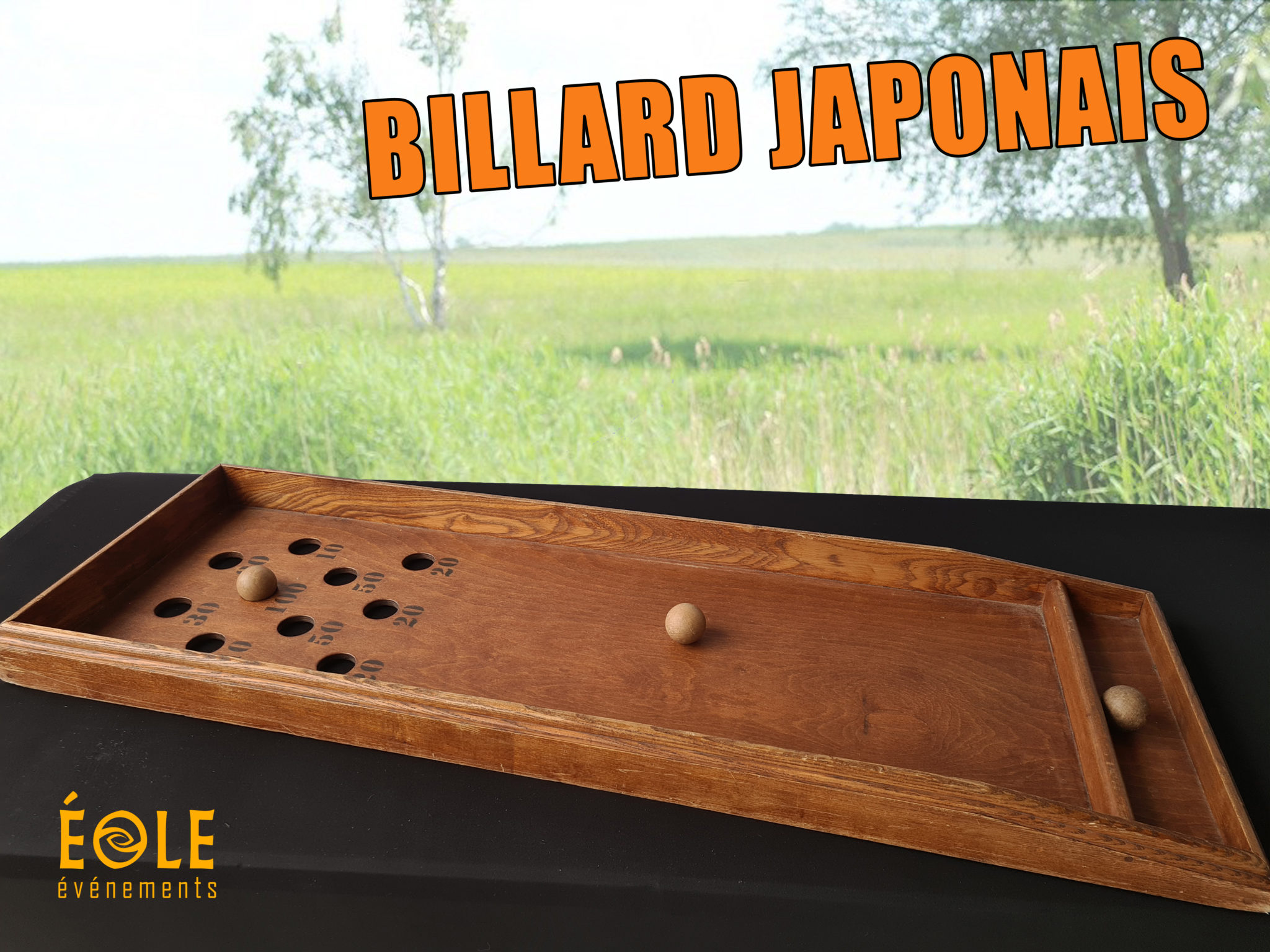 BILLARD JAPONAIS Eole Animation